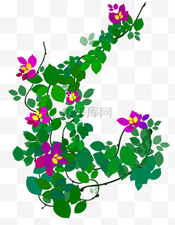 爬藤植物图片_手绘绿色爬藤植物花朵