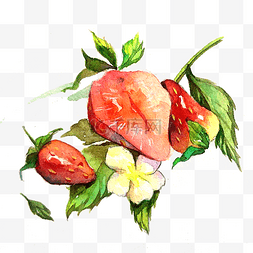 清凉夏日草莓图片_草莓可爱草莓花夏日鲜果PNG