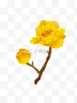 中国风牡丹富贵图片_富贵牡丹黄牡丹手绘花朵金色牡丹