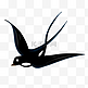 飞翔的燕子黑色剪影