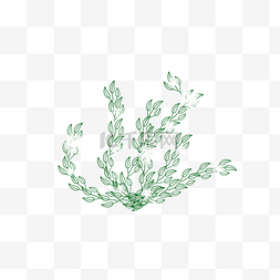 绿色手绘植物图片_绿色树叶上的小白花