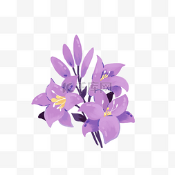 紫色花卉插画图片_植物花枝紫色花卉插画