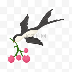 叼水果枝的燕子