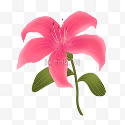 粉红色卡通唯美花朵