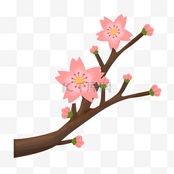 桃树叶子手绘图片_粉色灿烂桃花