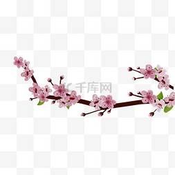 春天的图片春天图片_粉色的桃花手绘插画