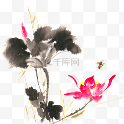 红花水墨画图片_荷花与蜜蜂水墨画PNG免抠素材