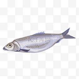 海鲜小鱼手绘插画