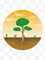 植物元素树土层断面剖面烈日下