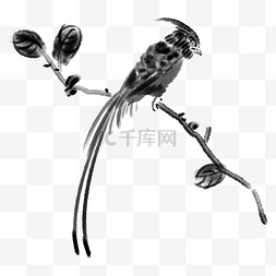 中国风动物植物图片_水墨在树枝上的小鸟