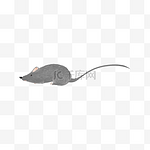 老鼠（png免抠）