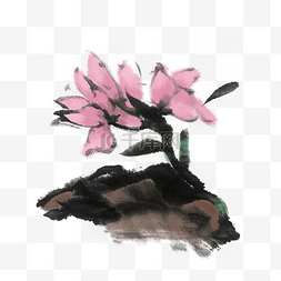 中国风手绘水墨木兰花
