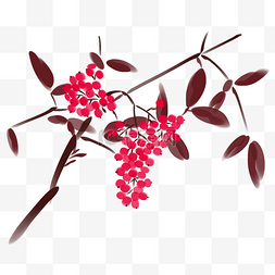 红色花藤植物图片_水墨花枝红色果实
