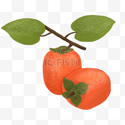 红柿子柿子图片_半写实风水果之柿子