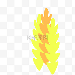 枯黄的水竹图片_卡通黄色植物叶子下载