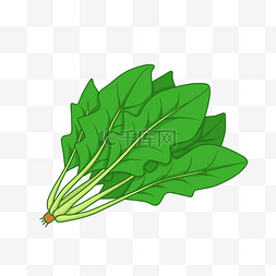 树叶环圈图片_绿色菠菜食物元素