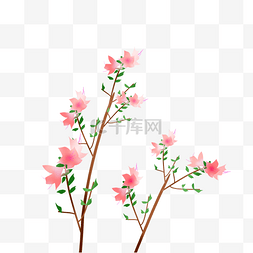 杜鹃花卉花枝插画