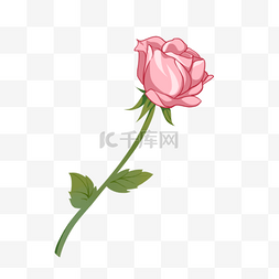 一支粉色的玫瑰花