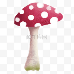 红色的蘑菇 