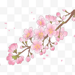 春季漂亮的樱花插画