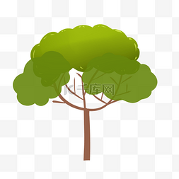 树木大自然树木绿色树枝树叶