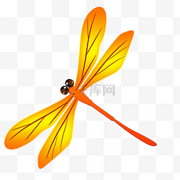 夏季促销图片_橙色蜻蜓png素材