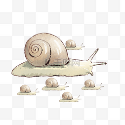 蜗牛妈妈带小蜗牛外出