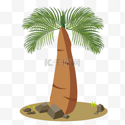 椰子树树木图片_夏季海边椰子树造型
