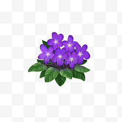 花瓣紫色手绘图片_夏季花卉手绘紫罗兰PNG图片