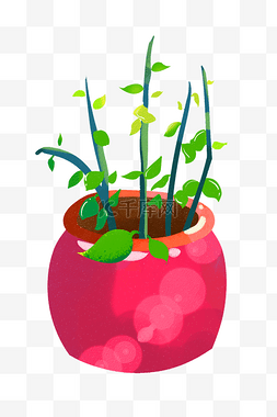 矢量藤条图片_手绘卡通红色盆栽植物