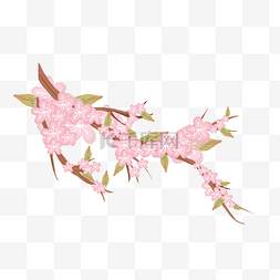 春季粉色樱花