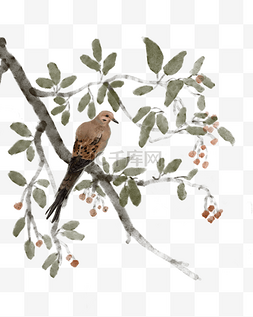 鸟树叶图片_手绘棕色的鸟鹤树枝插画