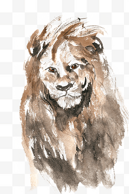 写实狮子图片_威严的雄狮水彩画PNG免抠素材