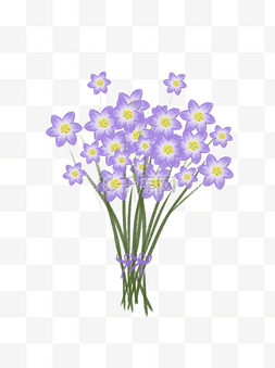 手绘小清新紫色花束植物花卉