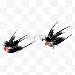 两只黑色燕子