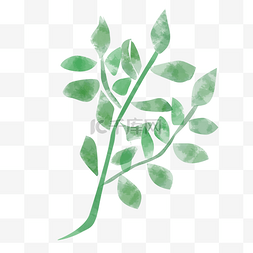 绿色装饰手绘叶子图片_绿色水彩的植物