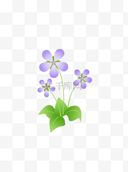 紫色花小清新图片_手绘花卉植物小清新风格插画元素