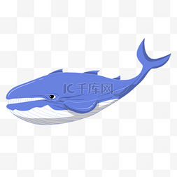 蓝色的鲸鱼手绘