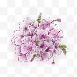清新唯美紫色花朵图片_樱花唯美紫色花朵清新春天PNG