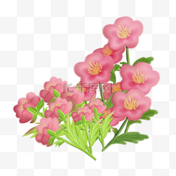 彩色花簇图片_粉红色唯美花朵