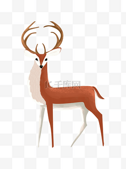 手绘卡通鹿插画图片_森林动物小鹿手绘插画设计