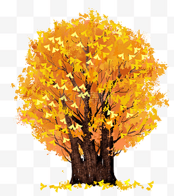 一棵树图片_一棵树黄色叶子树木
