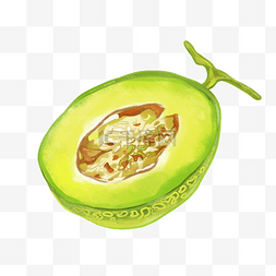 卡通食物手绘插画图片_手绘绿色水果哈密瓜
