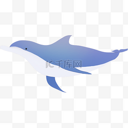 清新蓝色小鲸鱼