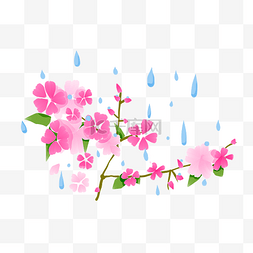 春季春雨花朵