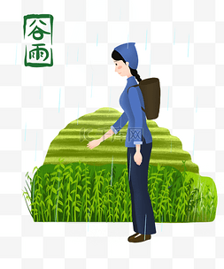 插画采茶图片_谷雨雨中采茶女孩