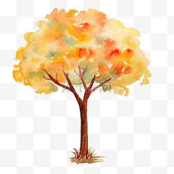 秋日时光图片_立秋秋日的红枫树