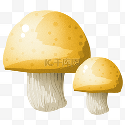 新鲜的食材蘑菇插画