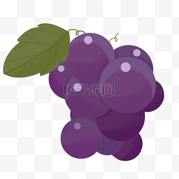 绿色清新植物生长图片_葡萄甜叶子紫色水果