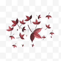 飘浮的叶子图片_红色枫叶